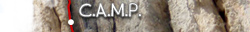 climbing technology