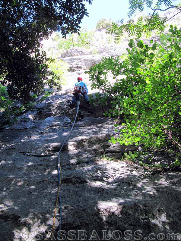 Ingrandisci