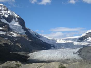 L'Athabasca Glacier