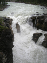 Sunwapta Falls