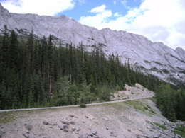 Un tratto dela Maligne Road
