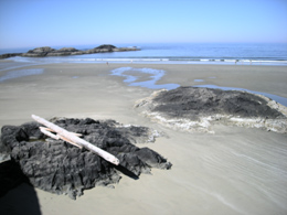 Florencia Bay