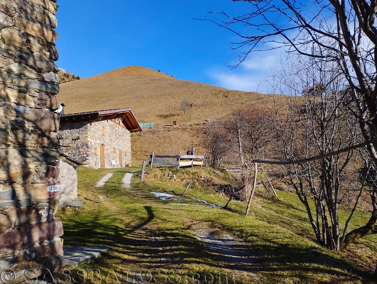 Ingrandisci