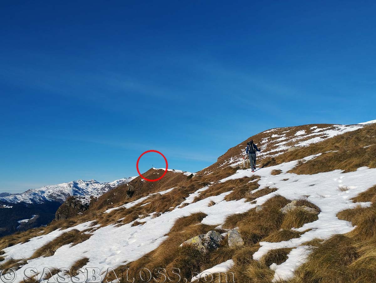 Ingrandisci