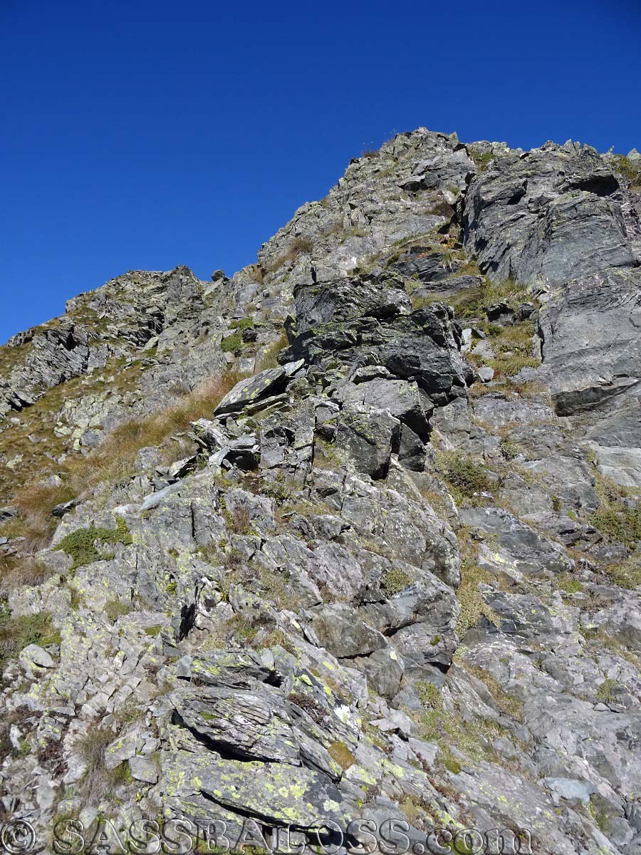 Ingrandisci