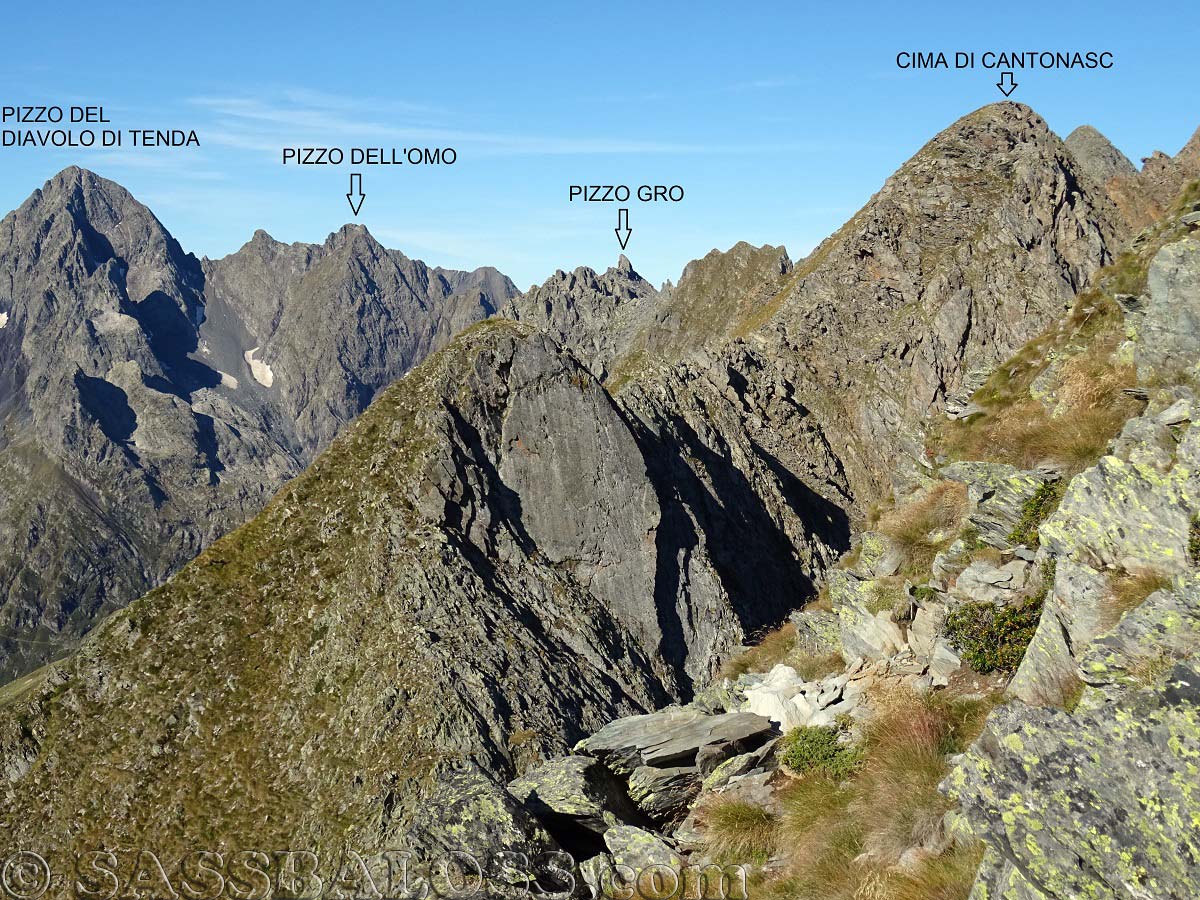 Ingrandisci