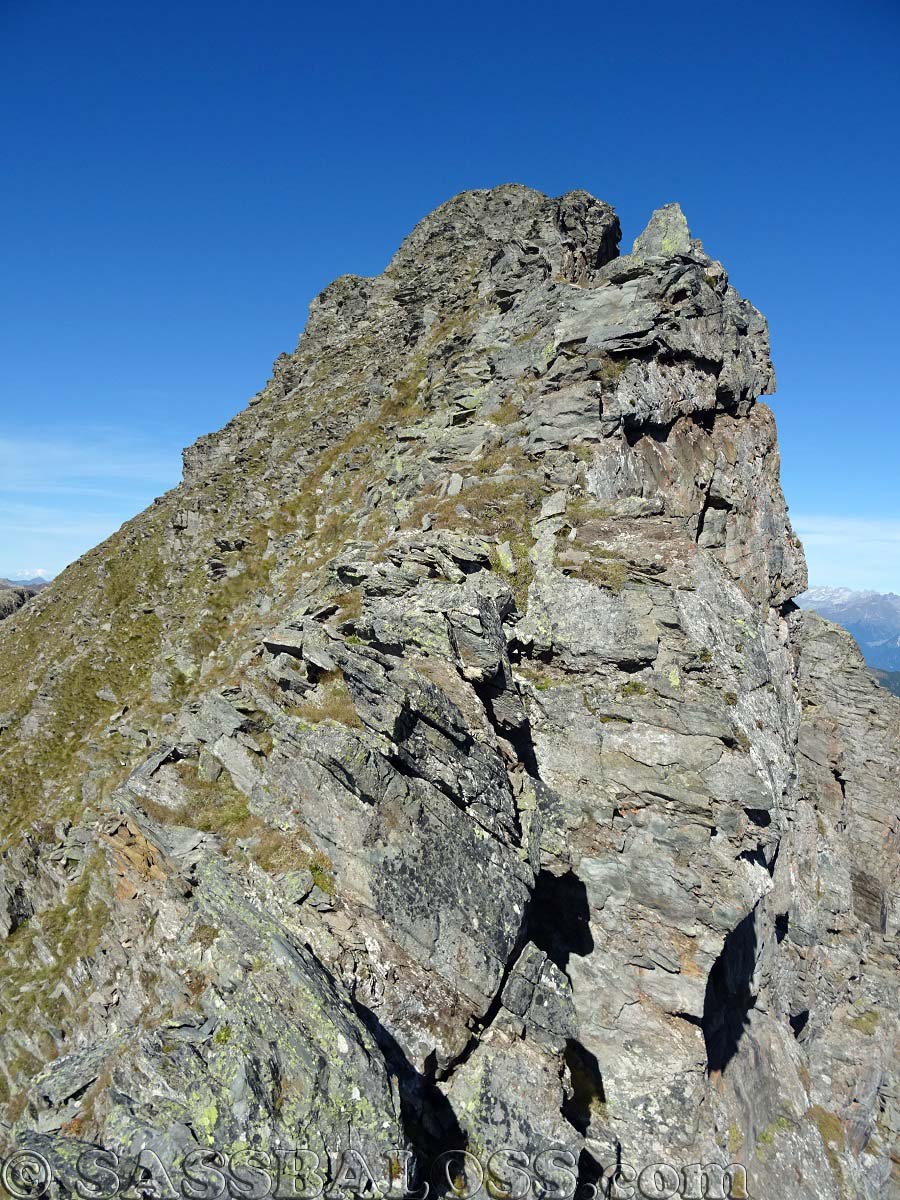 Ingrandisci