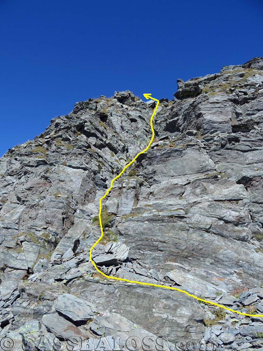 Ingrandisci