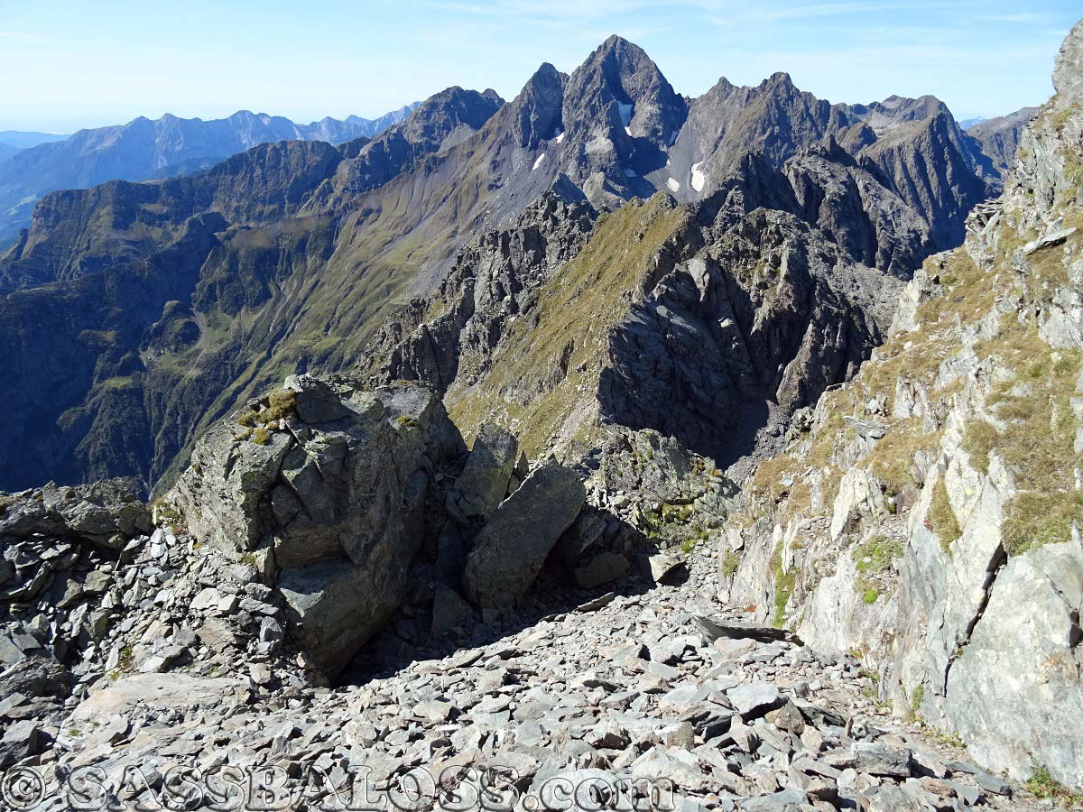 Ingrandisci