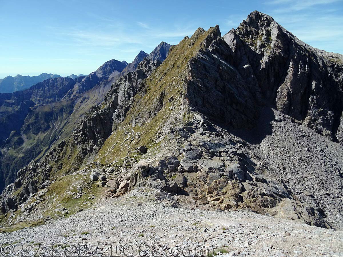 Ingrandisci