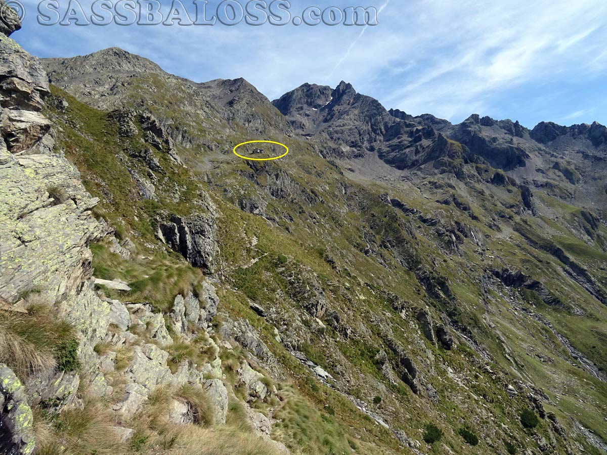Ingrandisci
