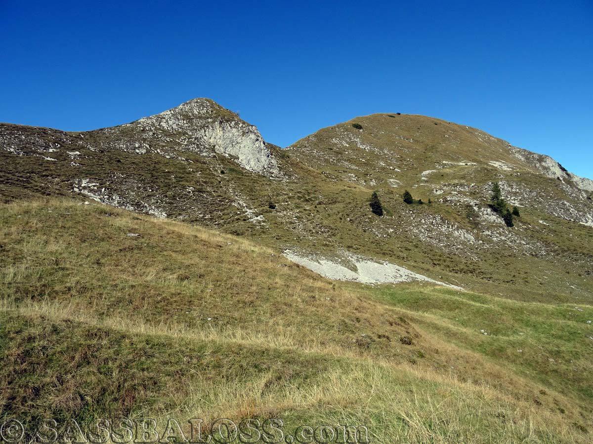 Ingrandisci