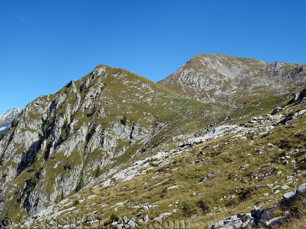 Ingrandisci