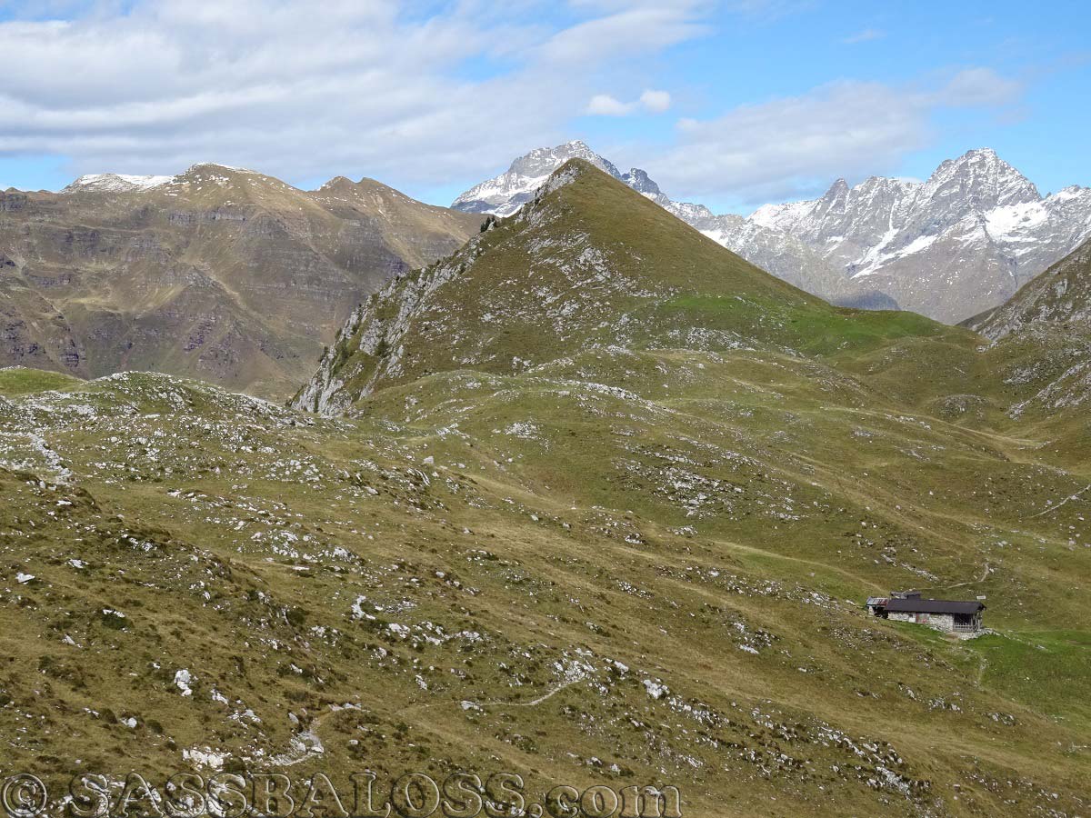 Ingrandisci