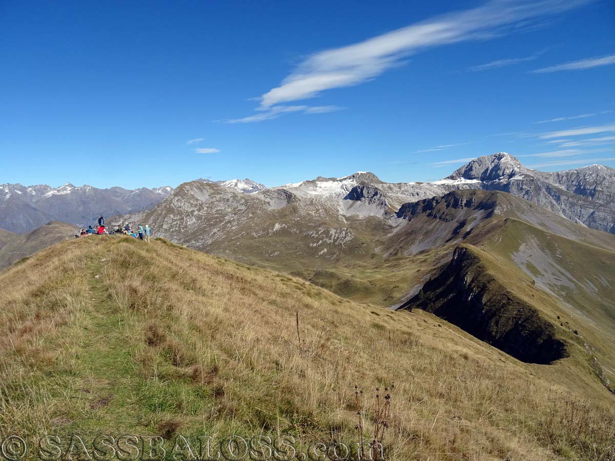 Ingrandisci