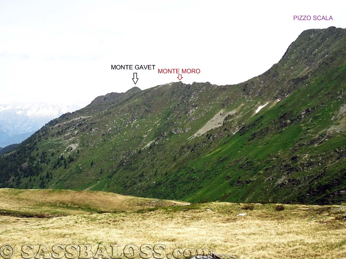 Ingrandisci