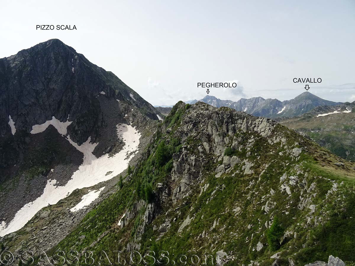 Ingrandisci