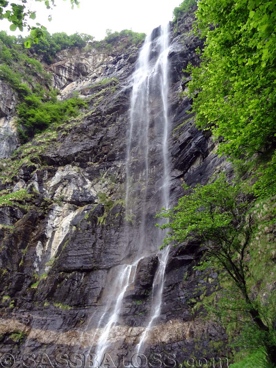 Ingrandisci