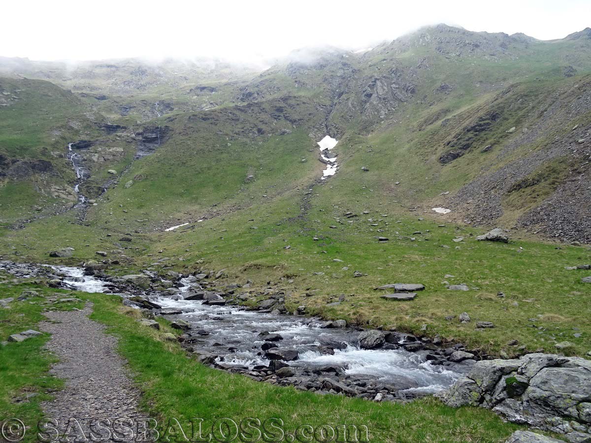Ingrandisci