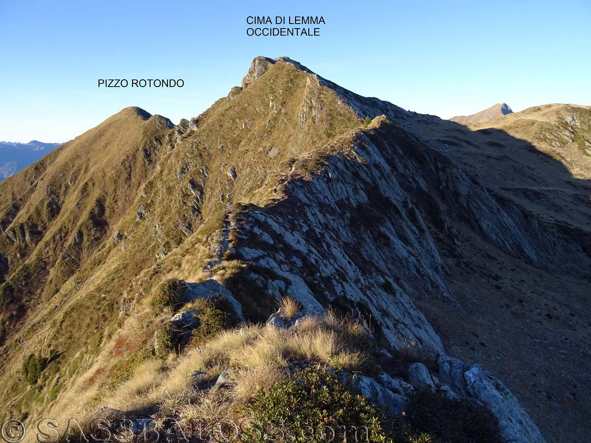Ingrandisci