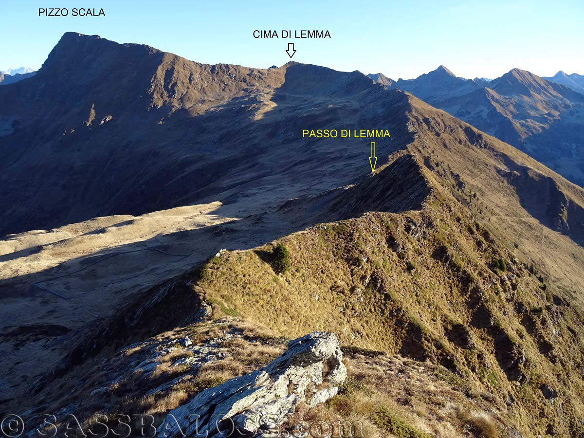 Ingrandisci