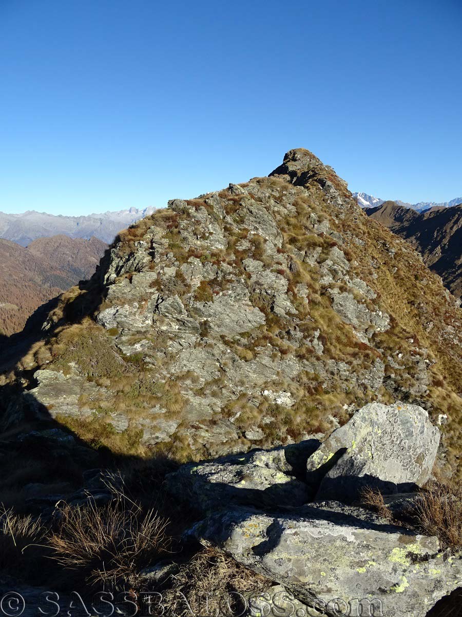 Ingrandisci