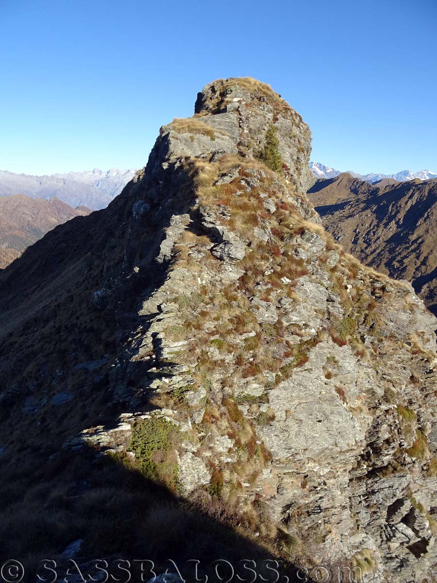 Ingrandisci