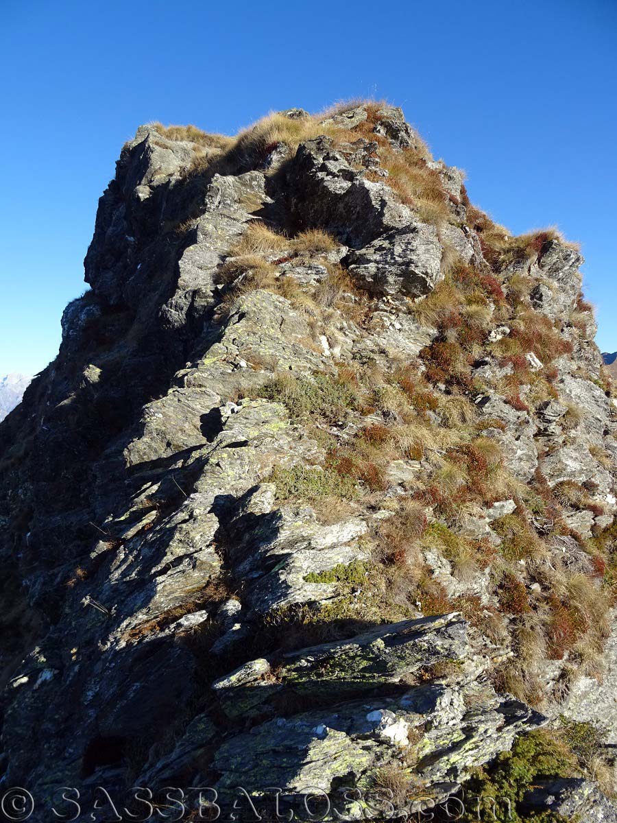 Ingrandisci