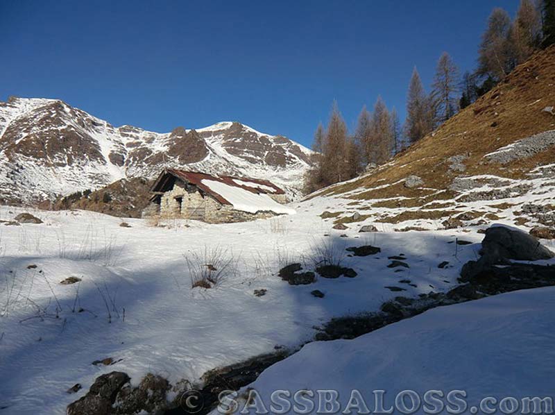 Ingrandisci
