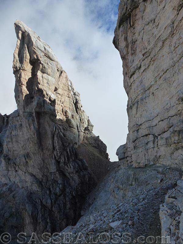 Ingrandisci