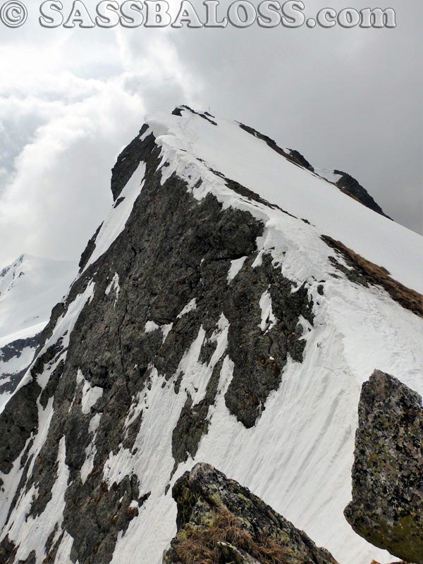 Ingrandisci